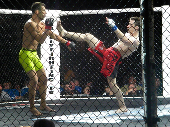 A perfect kick during a bantamweight MMA fight